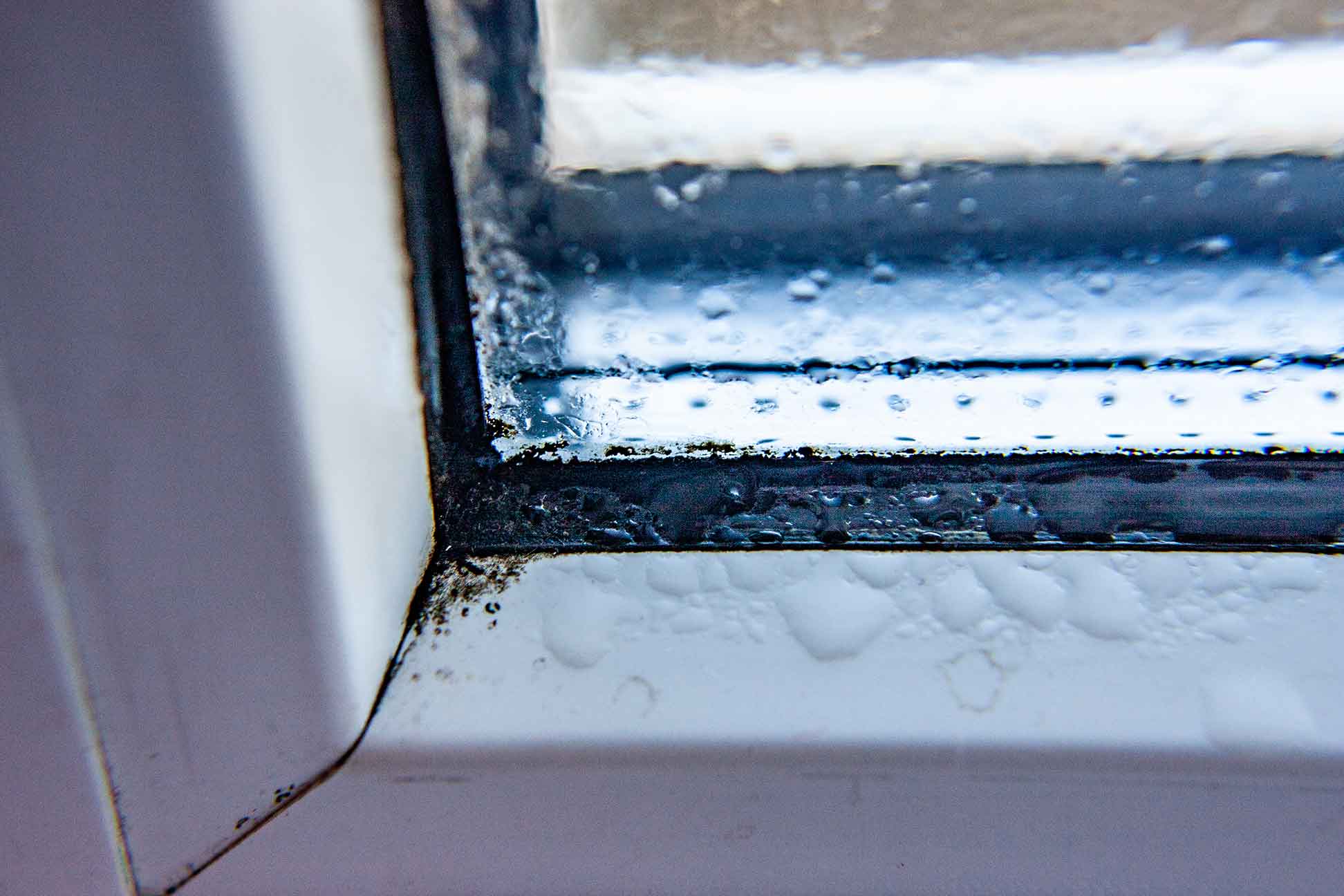 condensation, goutelettes sur les fenêtres