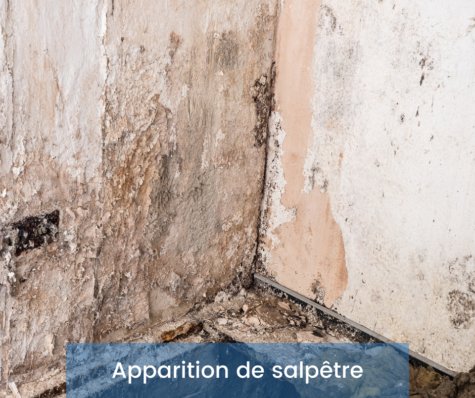 Remontée capillaire Homesec — free download
