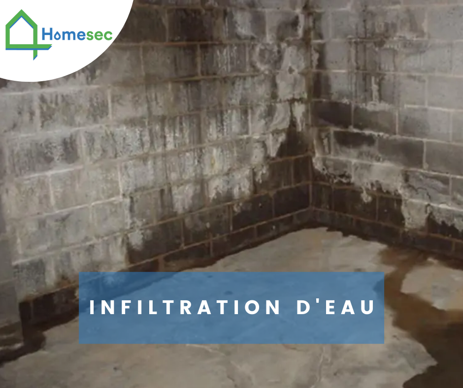 Infiltration d’eau causes, risques et traitements Homesec — free download