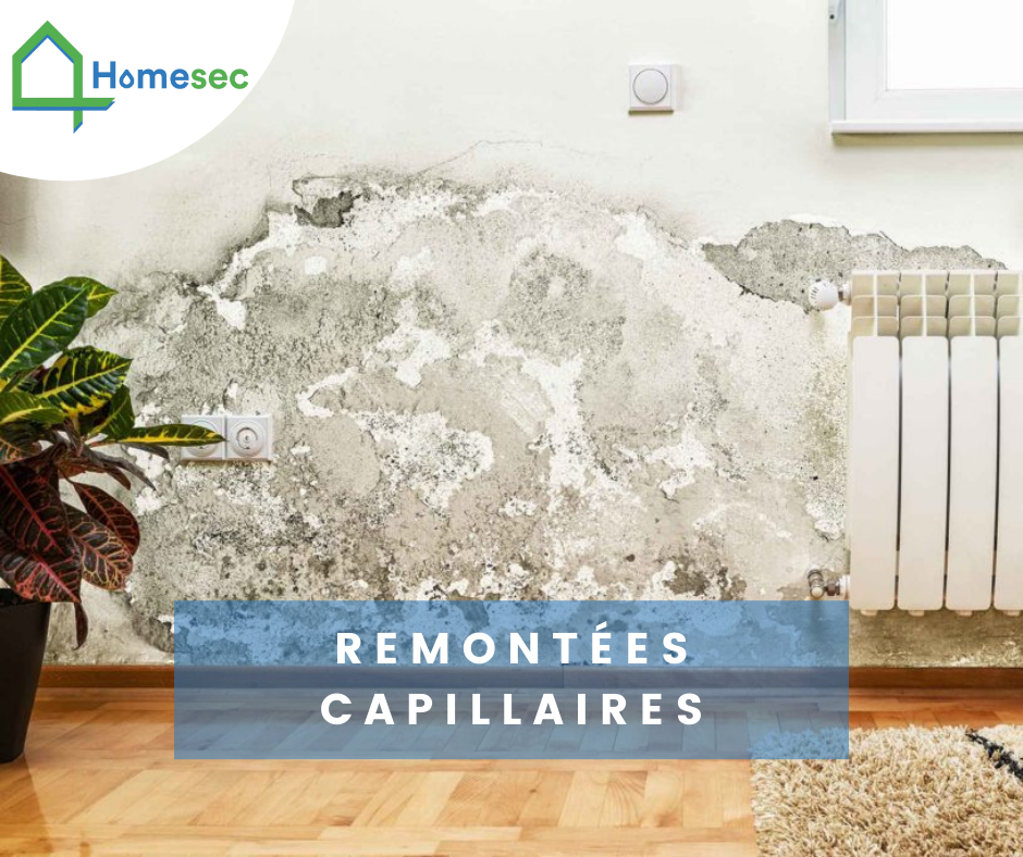 Traitement Des Remontées Capillaires Compiègne