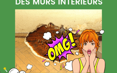 Humidité des murs intérieurs