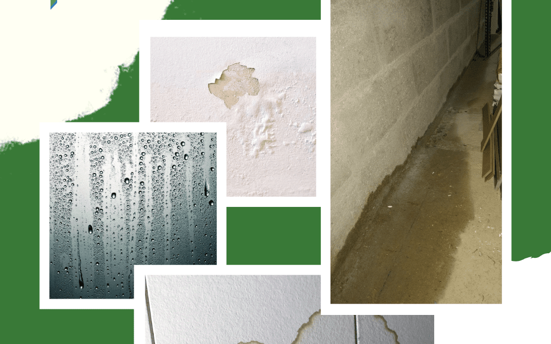 Les problèmes liés à l’humidité
