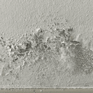 Murs humides