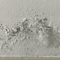 Peinture qui cloque ou s'écaille